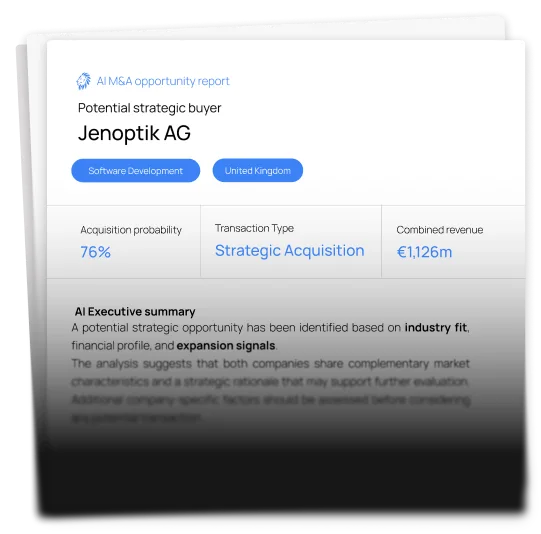 Example AI M&A opportunity report